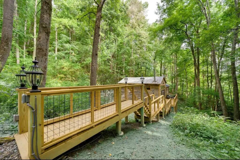 Outdoor Enthusiast'S Dream Cabin Hiking & Rafting Hot Springs ภายนอก รูปภาพ